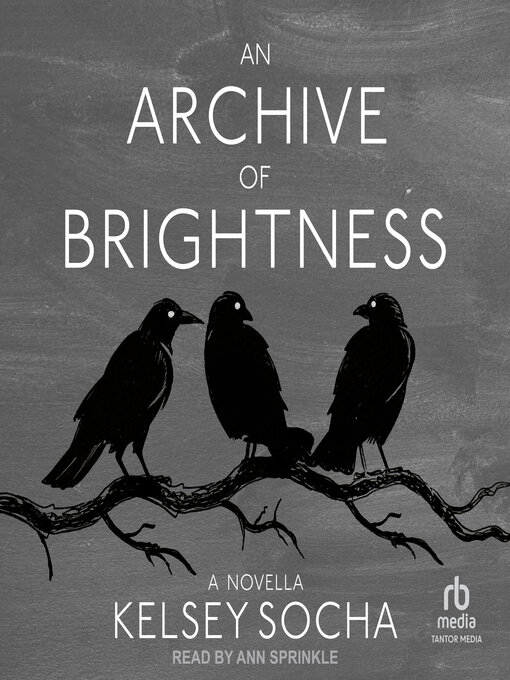 Title details for An Archive of Brightness by Kelsey Socha - Available